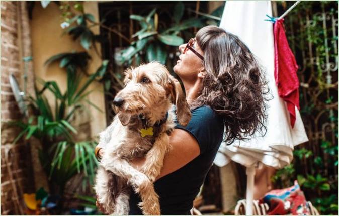 L'intérieur créatif d'une maison à Venise, en Italie : animaux de compagnie