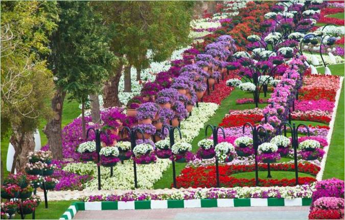 Jardins du paradis d'Ai Ain aux Émirats arabes unis