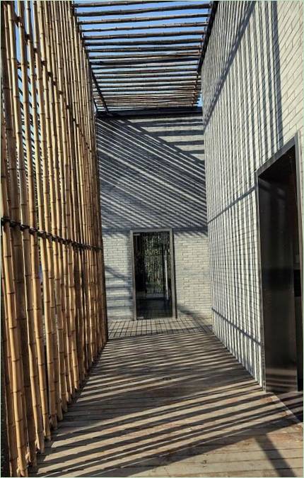 Projet de maison moderne avec cour en bambou