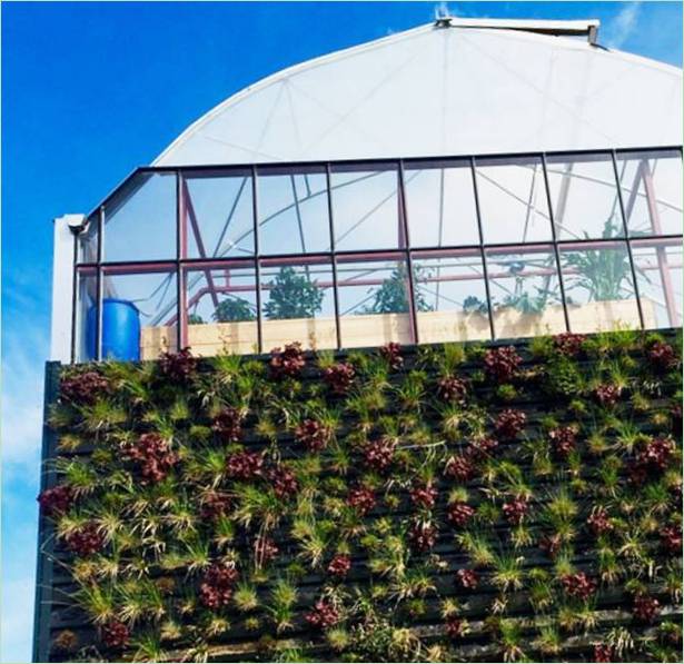 Conception unique de la maison : le plâtre d'argile absorbe la chaleur