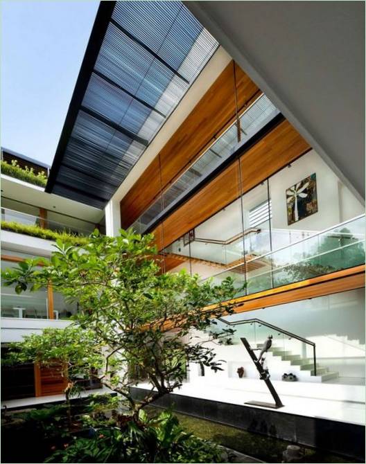 Un arbre près de la route Dalvey à Singapour