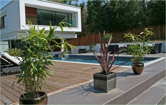 Plantes sur la terrasse de la maison d'Oxted en Angleterre