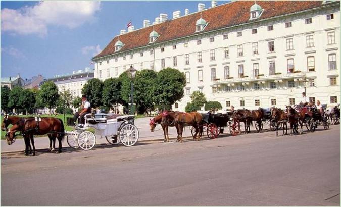 Des chevaux qui conduisent les gens dans la ville