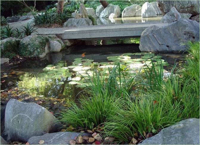 Conception de jardins chinois