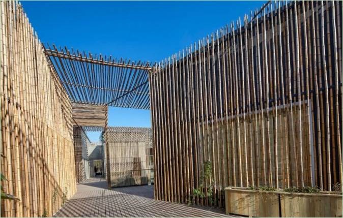 Maison de cour en bambou au design moderne