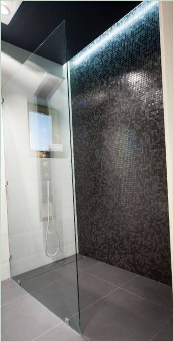 Mur de la cabine de douche en carreaux fins