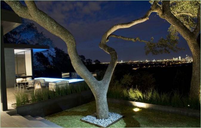 Un arbre dans la cour d'un chalet