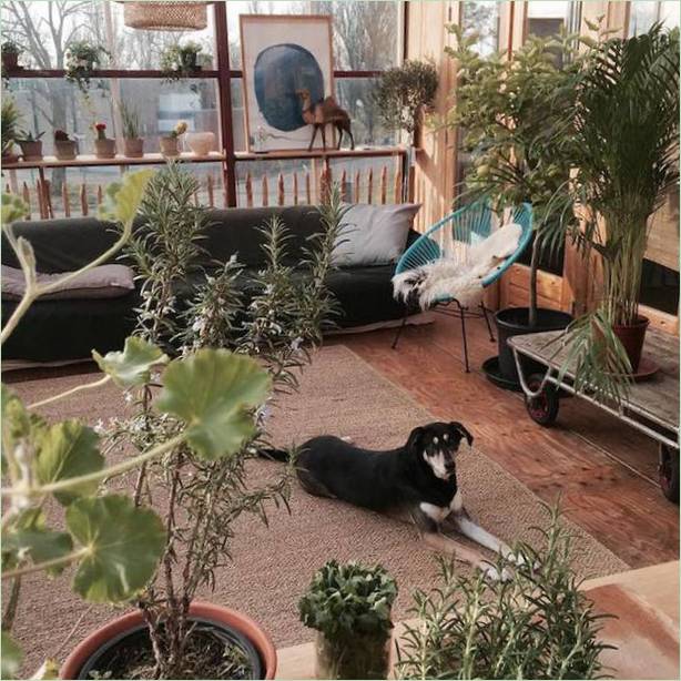 Conception de maison unique : des plantes vivantes dans la maison