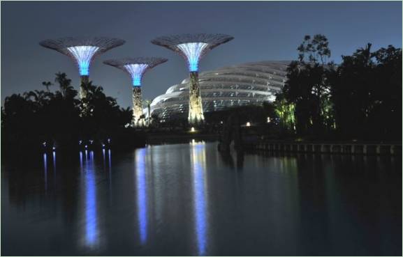 Le projet Gardens by the Bay à Singapour