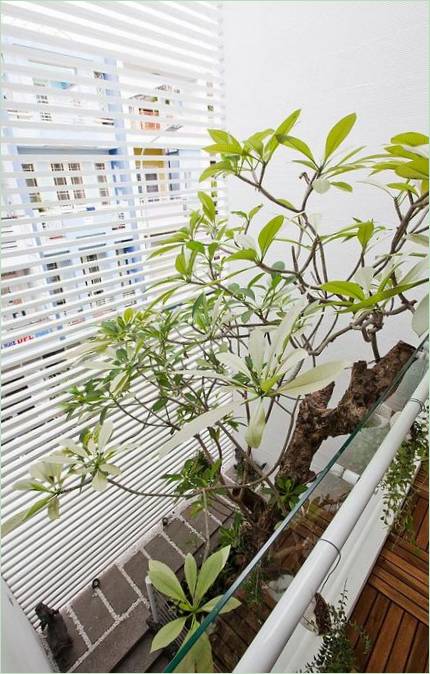 Des plantes vertes dans un intérieur de maison de ville