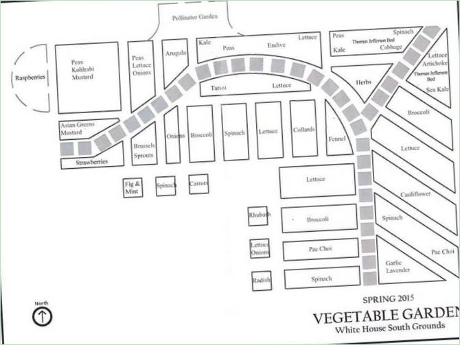Plan de plantation des légumes dans le potager odorant de Michelle Obama - photo 1