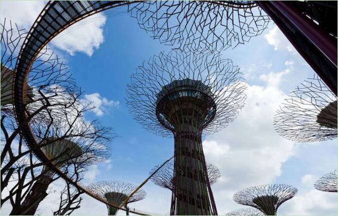 Gardens by the Bay à Singapour