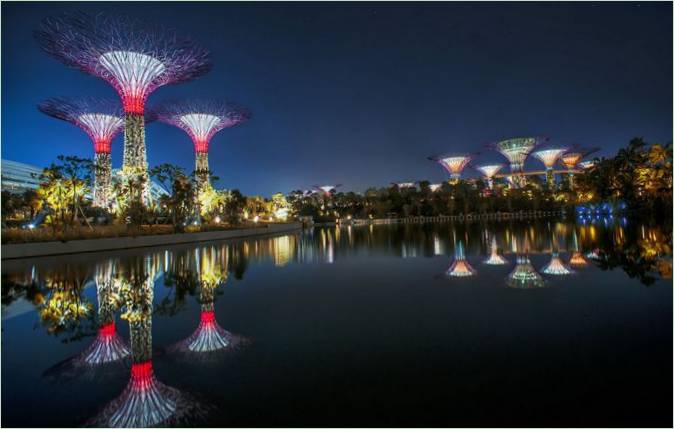 Gardens by the Bay à Singapour