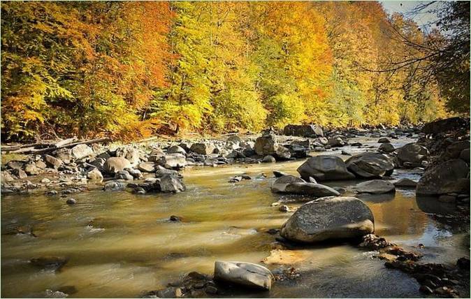 Magnifique paysage d'automne sur les rives d'une rivière de montagne