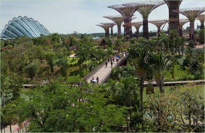 Gardens by the Bay à Singapour