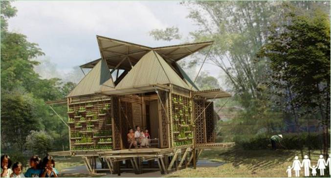 Bambou en fleurs par H&P Architects