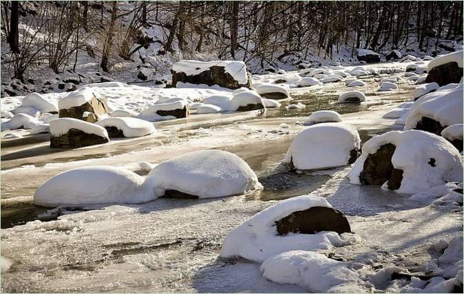 Paysage d'hiver au bord de la rivière