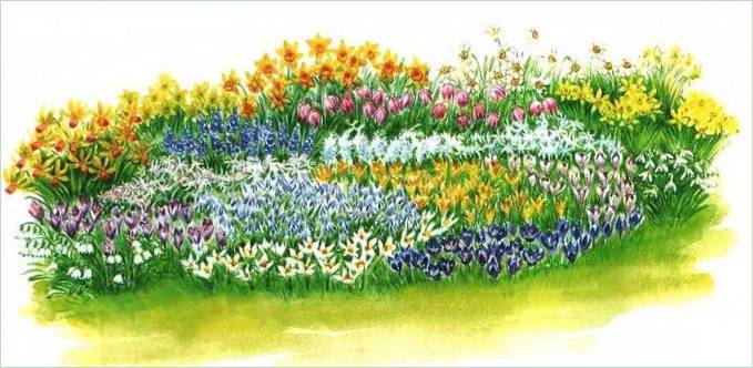 Arrangements floraux de printemps : schéma