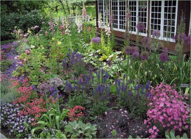 Conception de jardin anglais rustique