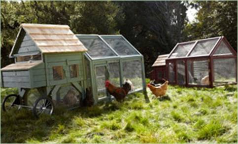 Idées intéressantes de jardinage vertical : constructions de cours compactes avec mini-serres
