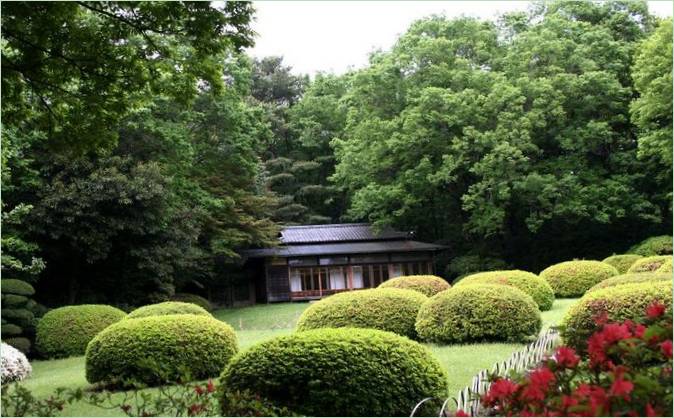 Aménagement paysager d'un jardin japonais