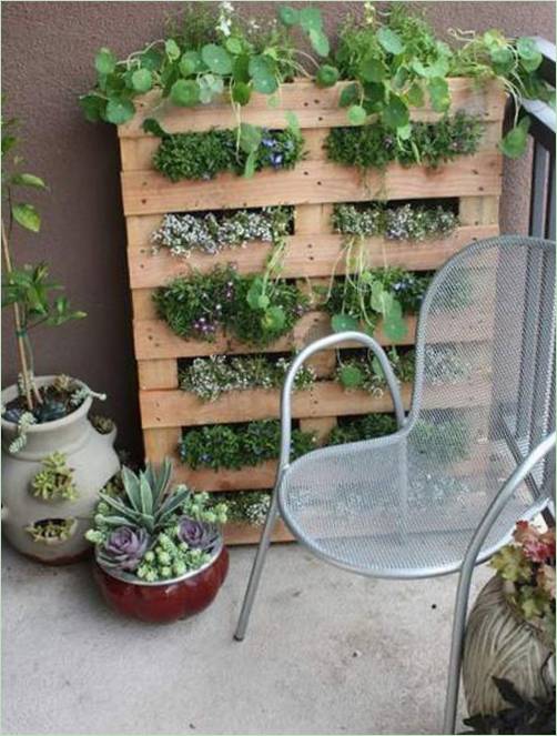 Idées intéressantes pour le jardinage vertical : lit à partir d'une vieille palette