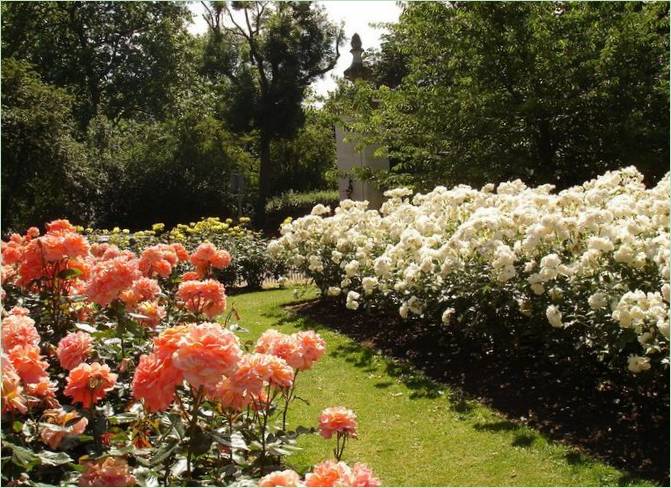 Aménagement paysager de Regents Park à Londres