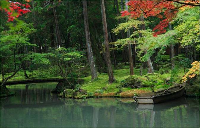 Le jardin des mousses au Saiho-ji à Kyoto