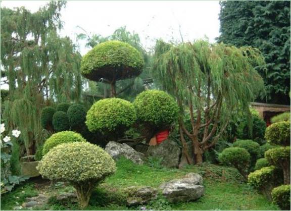 Aménagement d'un jardin japonais