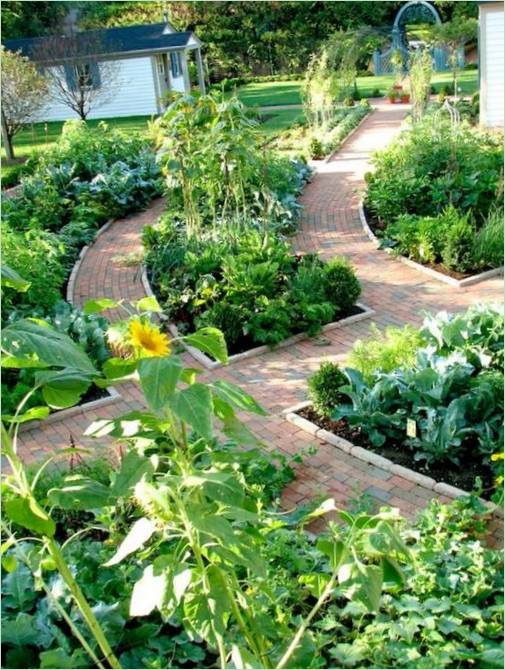 Un chemin en briques entouré de plantes