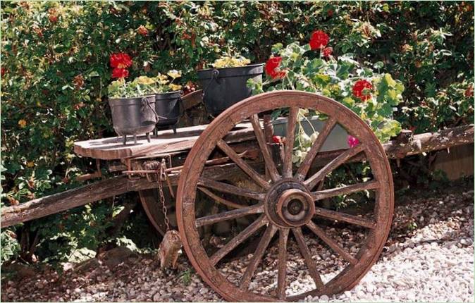 Un jardin de fleurs rustique