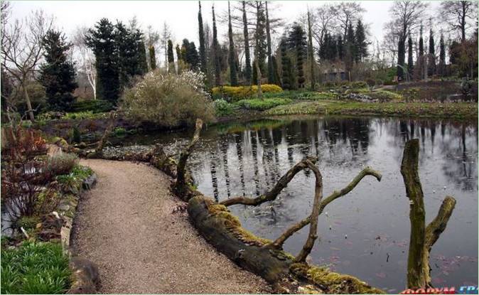 Le jardin botanique aquatique d'Ada Hoffman