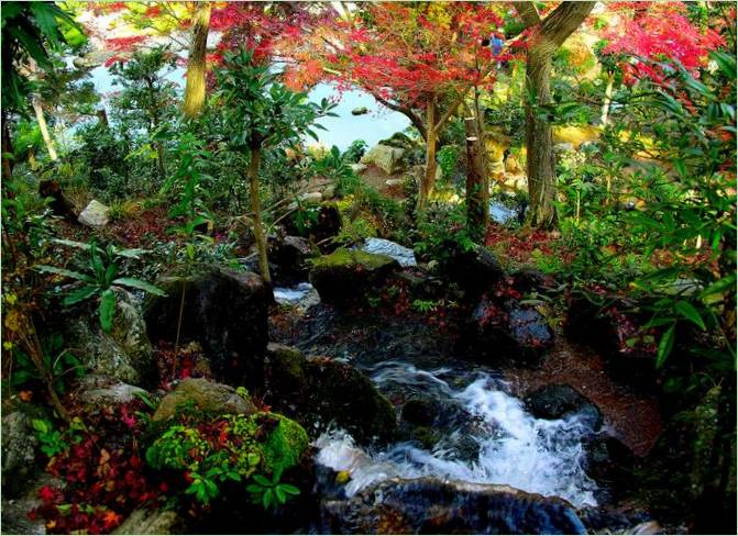 Aménagement paysager du jardin japonais