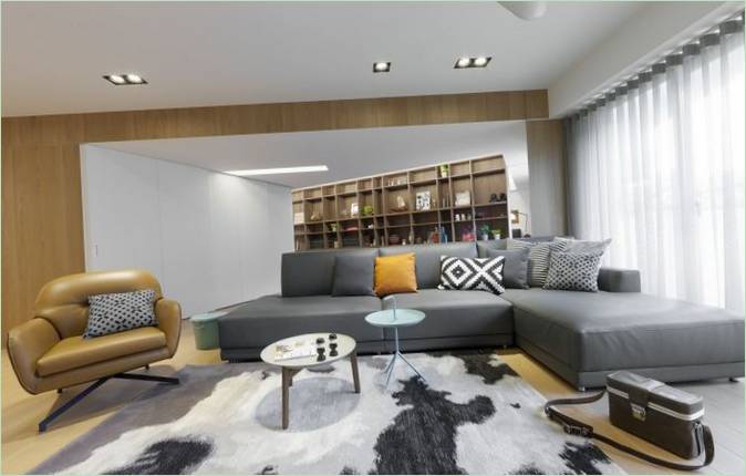 salon peint en gris
