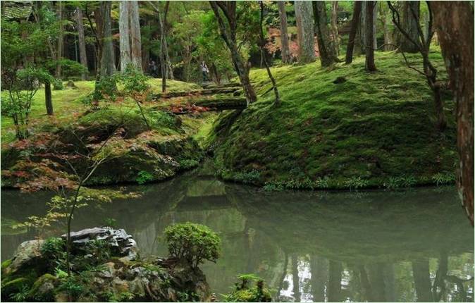 Le jardin des mousses au Saiho-ji à Kyoto