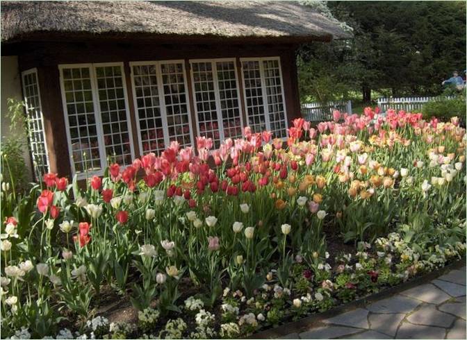Conception de jardin rustique anglais