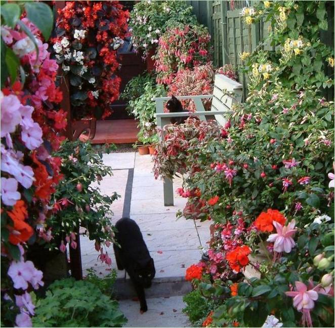 Le patio fleuri de la designer Edwina Fran