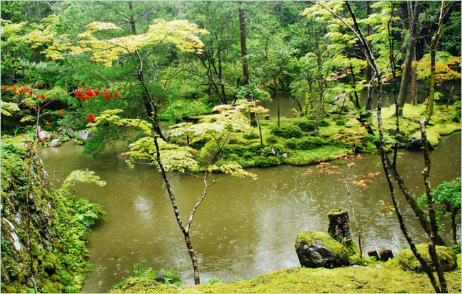 Le jardin des mousses de Saiho-ji à Kyoto