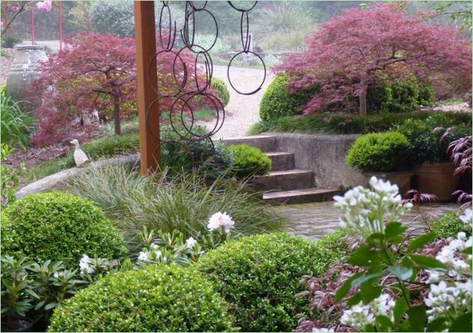 Plantes du jardin à la maison