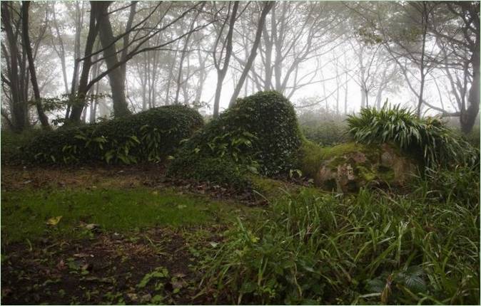 Les Jardins Perdus de Heligan au Royaume-Uni