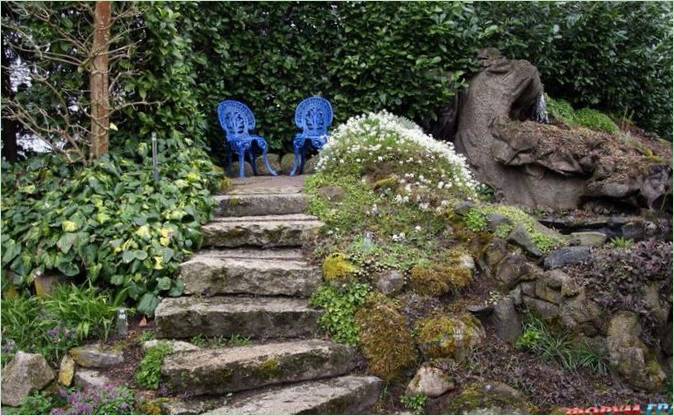 Le jardin botanique de l'eau par Ada Hoffman