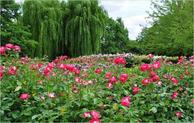 Aménagement paysager de Regents Park à Londres