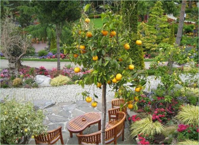 Parc tropical Flor og fjære en Norvège