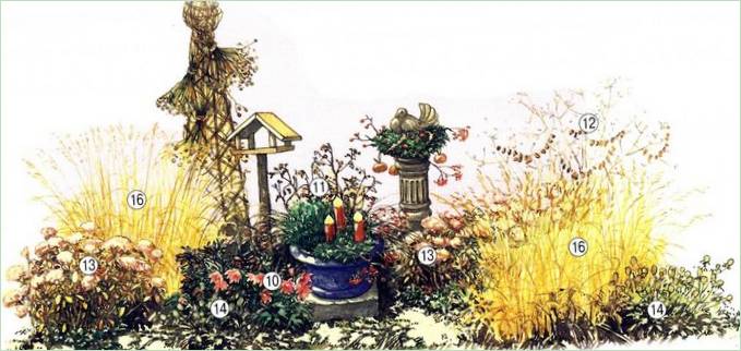 Jardin à floraison continue