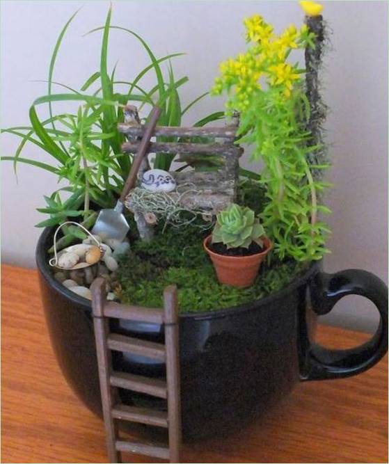 Un mini jardin dans un grand mug