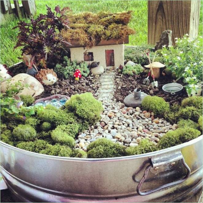 Broussailles dans un mini jardin