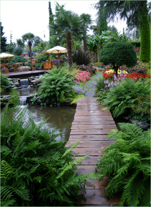 Jardin tropical Flor og fjære en Norvège