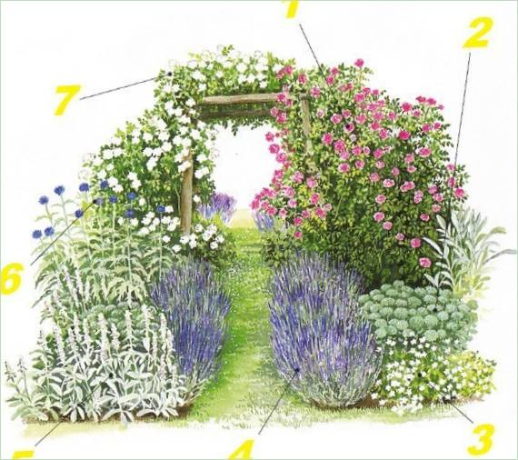 Arche de jardin dans le jardin