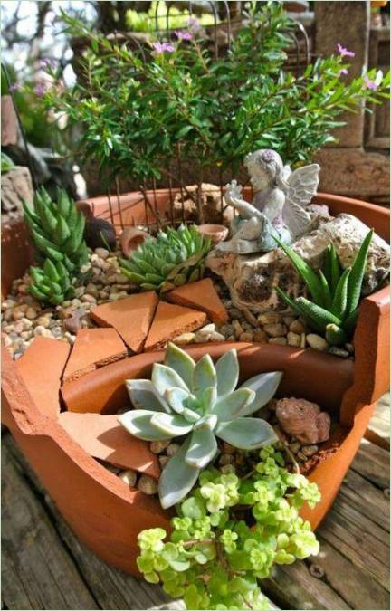 Plantes ornementales dans un mini jardin
