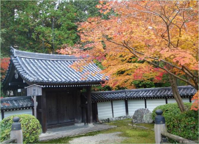 Le jardin des mousses de Saiho-ji à Kyoto